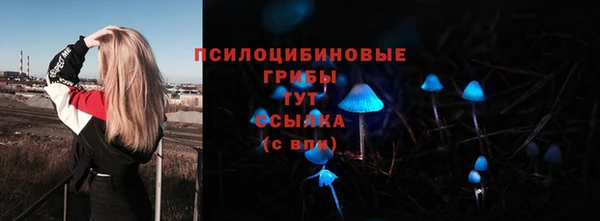 спиды Баксан