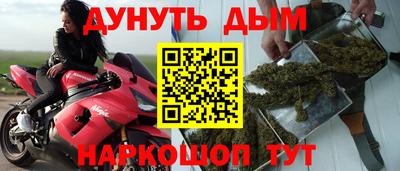 амф Новозыбков