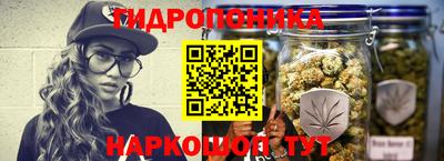 амф Новозыбков