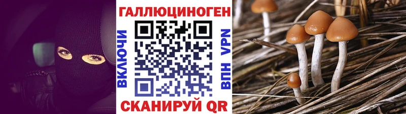 купить цена mega как войти Псилоцибиновые грибы MAGIC MUSHROOMS Унеча