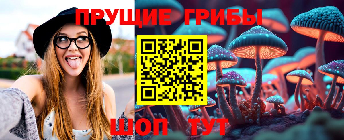 Галлюциногенные грибы GOLDEN TEACHER  Вход с VPN  Унеча 